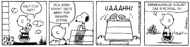 Zur Snoopy-Strip-Library